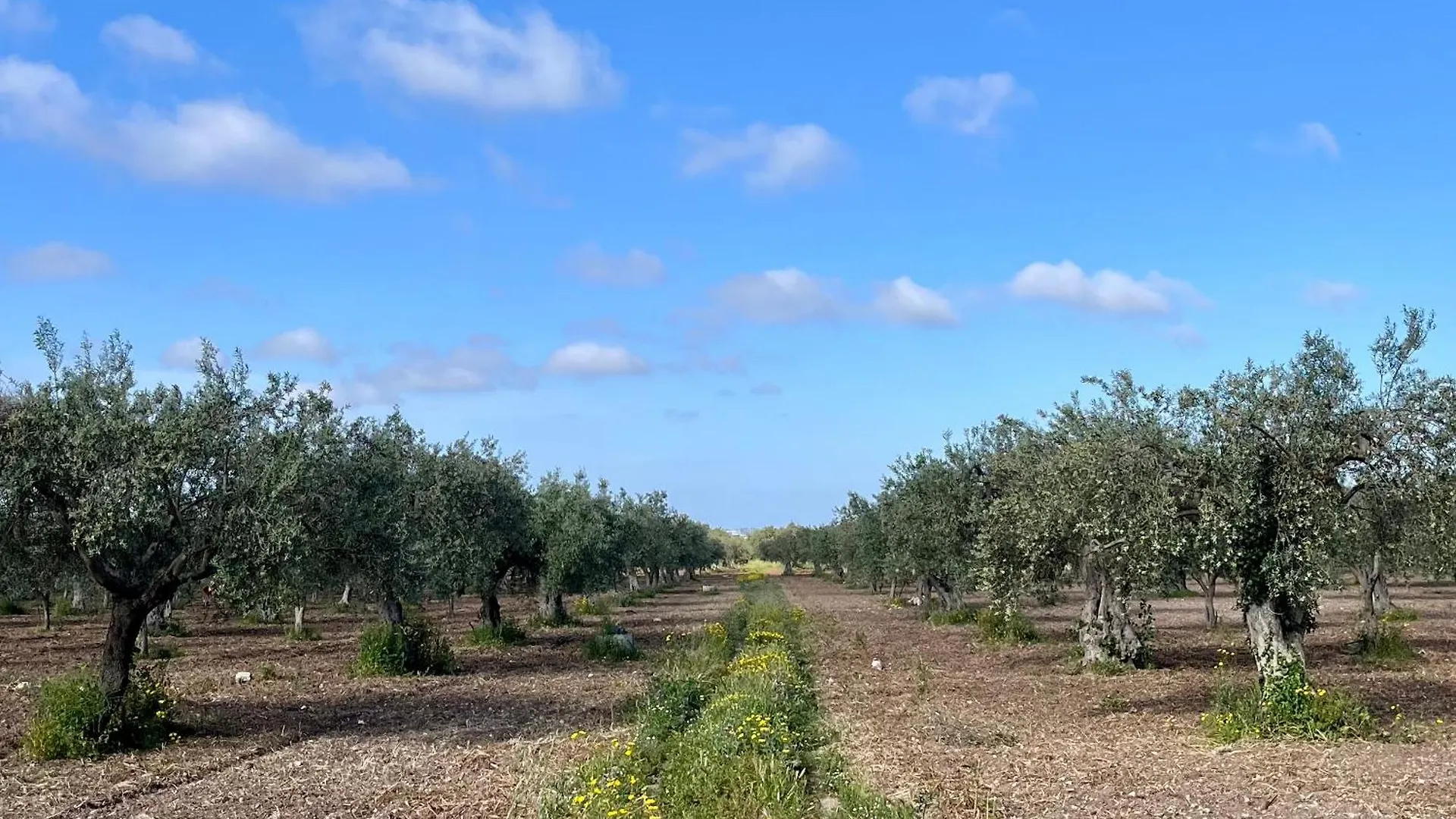 Bed and Breakfast Dimora Di Dante Chiaramonte Gulfi
